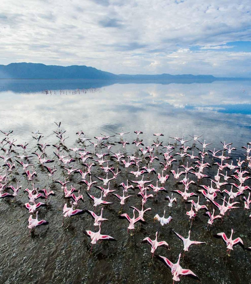 Safari in Eastern or Southern Africa? Which suits you best?